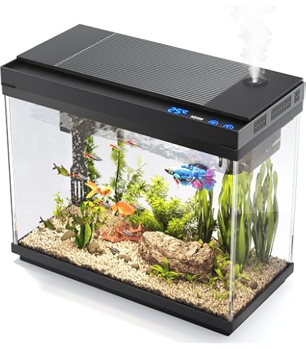 Aquarium Rectangulaire En Verre Avec Couvercle - 39,5x22,5x21,5 Cm - Pour Poissons, Tortues, Crevettes - Décoratif, Prêt Pour Filtre