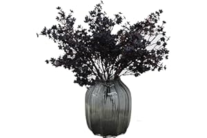 JAKY-Global Künstliche Blumen 6 Stück Getrocknete Unechte Seide Blumen Babysbreath Pflanze Dekoration für Hochzeit Sträuße Haus Garten Party Blumenschmuck (Schwarz)