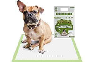 POGI'S PET SUPPLIES Pogi's Training Pads (20-Pezzi) (60x60cm) - Taglia Large, Super Assorbente, Tappetino Assorbente Ecologico per Addestramento per Cani di Taglia Piccola o Media