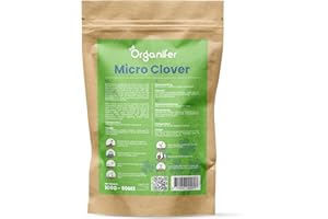 Semillas De Césped De Micro Trébol - 100 G Para 50 M2 - Trébol Puro - Microtrébol - Organifer