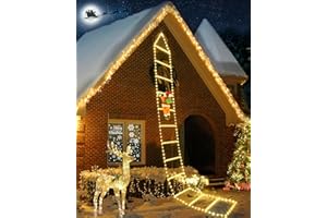 iShabao 3M Noel Guirlande Lumineuse Extérieur, 310 LED Lumières Échelle de Noël avec le Père Noël, 8 Modes Fonction Mémoire Minuteur, pour Decoration Noel Exterieur et Interieur(Blanc Chaud)