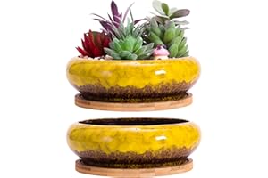ARTKETTY Maceta para suculentas, macetas grandes de 18,5 cm con bandeja, juego de 2, maceta de cerámica con agujero de drenaje, macetas poco profundas para cactus para interiores y exteriores, recipiente