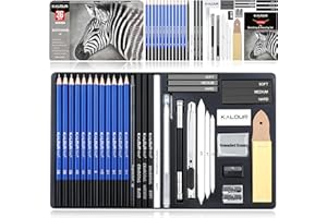 KALOUR PDAS Juego de dibujo de 36 piezas, suministros de bocetos de arte profesional, incluye tutorial, grafito, carbón, para artistas, adultos, adolescentes, principiantes