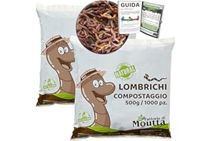 MOUTTA Lombrichi da 1kg (circa 2,000 pz.) |Vermi vivi da terra Eisenia, crea un compost con i tuoi rifiuti organici - Per vermicompostaggio/composter/giardino