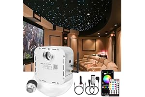 CHINLY Bluetooth 32W RGBW Twinkle LED Kit de luces de techo de estrella de fibra óptica APLICACIÓN/Control remoto 800pcs * 0.75mm * 4m + 10 Cristales para el hogar/el automóvil