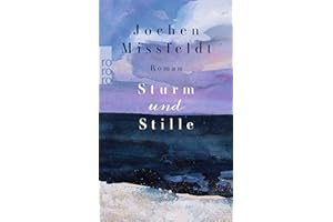 Sturm und Stille: Roman