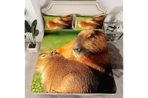 Homewish Capybara Bedding Set Gifts for Kids Teens,Cute Capybara Bed Sheets Single Size for Boys Girls,Capybaras Basking in the Sun Fitted Sheet Funny Rodent Animals Printed 2 Piece Bedding Decor Set