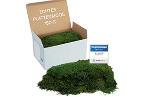 ‎MIA MILANO Plattenmoos konserviert dunkelgrün | Deko Wand Moos Platten haltbar | DIY Moosbild selber Machen | 750g Dunkelgrüne Natur Moosmatte lebend in Grün