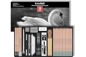 KALOUR PDAS 39-teiliges Bleistifte Set, Professionelles Zeichenstifte(5H-14B), Schwarze und Weiße Kohlebleistifte zum Zeichnen, Radierpinselstift, Kohlestäbe, Stifte Set für Künstler & Anfänger