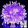 LITYBY Fairy String Lights,8 Modes USB Plug in Powered Lights Waterproof Outdoor/Indoor Christmas Lights with Remote Timer for Bedroom, Party, Wedding, Halloween Decoration (Purple)