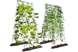 Ytaoeo Metall Gurke Rankgitter Tomaten Rankhilfe Garten 2 Stück, Spalier Gitternetz Kletterpflanzen Pflanzenstütze für Blumen & Nutzpflanzen, Einstellbare Breite, Schwarz