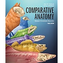 Buy Functional Anatomy of the Vertebrates: An Evolutionary