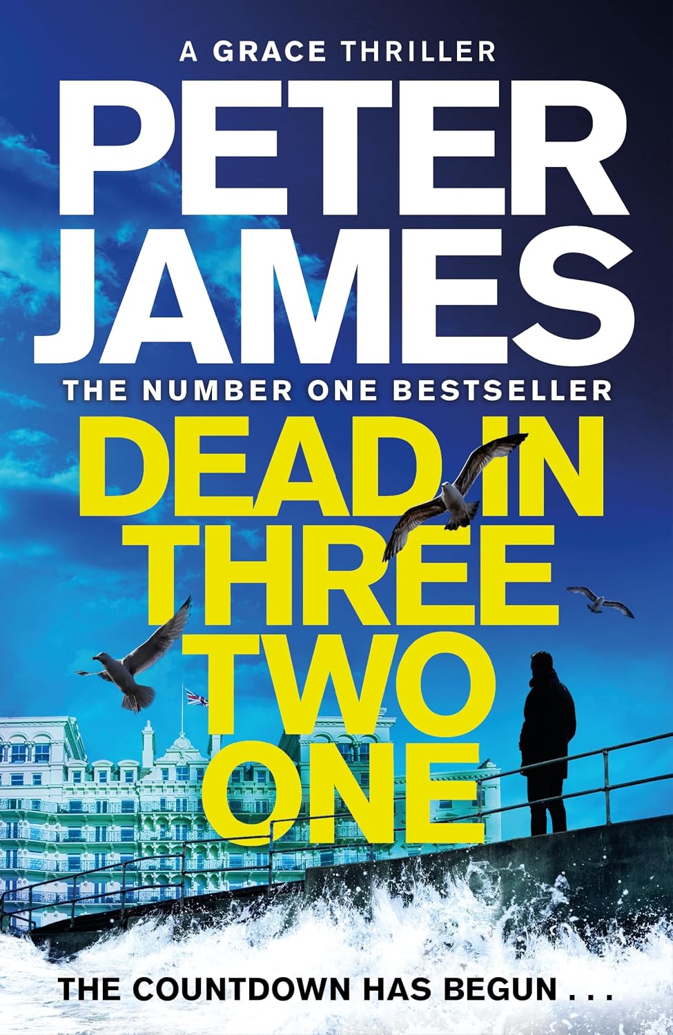 The Family Cross: The new thrilling novel in the Sunday Times bestselling series and inspi - Mise en situation et utilisation