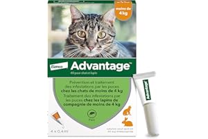 Advantage Chat & Lapin de moins de 4 kg – Pipettes anti puces chat pour prévention des infestations – Traitement anti puces avec protection de 3 à 4 semaines – 4 x 0,4 ml