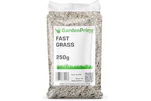 GardenPrime Fast Grass Lawn Seed - 250g- Strong Durable Grass Seed, Fast, Rapid Green Cover, Ideal for Large Projects, Patch Repairs, Overseeding, New Lawn (250g)