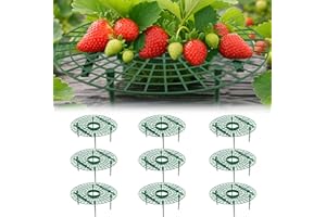 AONYIYI 10 unidades orbicular fresas soporte soporte soporte de fresa protección contra caracoles fresas protección contra caracoles y protección contra la putrefacción del moho