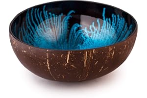 ‎KALOOGO Kaloogo Cocobowl Splash Kokosnuss Deko Schale (blau, poliert)