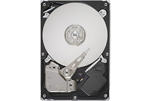 Seagate 'ST31000528AS Hard disk interno da 1 TB, SATA, 7200 rpm, 3.5