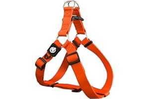 DDOXX Pettorina Cane Step-In Nylon, Regolabile | Tanti Colori e Taglie | Per Cani Piccoli Medi e Grandi | Imbracatura Cani, Gatti, Cuccioli, Gatto Taglia Piccola Media Grande | Arancia, XXS