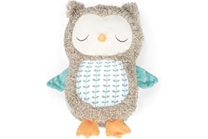 Ingenuity, pluszowa sowa Nally the Owl z zabawnymi dźwiękami i muzyką Bluethooth, od 0 do 36 miesięcy, unisex