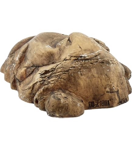 Cachette Tortue Plastique – 2 Pièces Avec Bassins Nourriture & Eau – Pour Terrarium Reptile