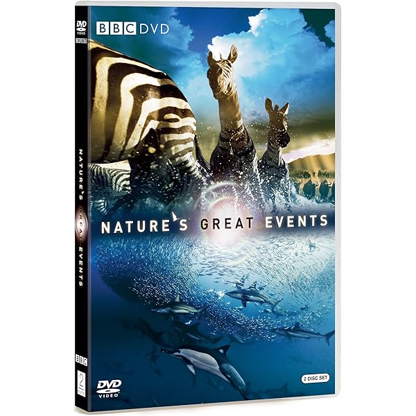 Wild Africa [DVD]: Amazon.co.uk: Fergal Keane, Patrick