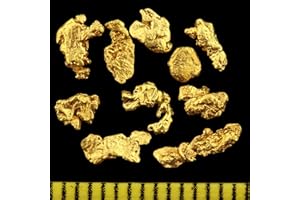 GOLD-FIEBER Lot de 10 véritables pépites dorées XL d'Alaska de 2 à 5 mm avec certificat d'authenticité, idéal comme cadeau