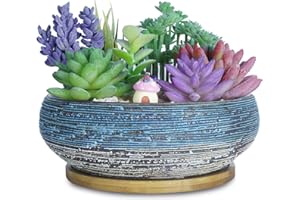 ARTKETTY 20.3 CM Macetas Grandes de Plantas suculentas con Bandeja de Drenaje Macetas de cerámica de Bonsái para Plantas de Interior Jardín Decorativo Cactus Flor Planta Recipiente Tazón