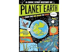 Part 1 From the Big Bang to Birds (A Comic Strip History of Planet Earth)