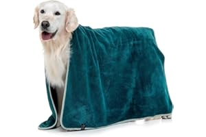 Lucky Paws® UK Dog Towels – Luxuriously Thick 600gsm, 140x80cm Extra Large, Extremely Absorbent, Fast Drying, Ultra Soft (Pack of 1, Teal)