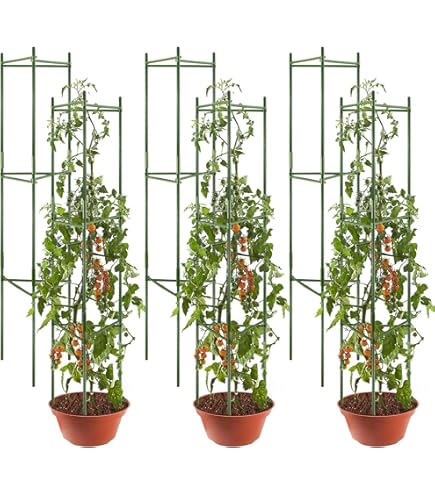Support Tomates Concombres Acier Maxpack Tuteur Plantes 75cm - 3 Anneaux Réglables - Acier - Tomates Concombres Jardinage Potager