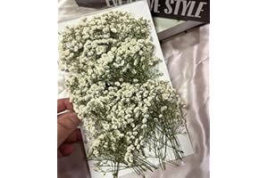 SHIIYYU 130PCS Dried Pressed Baby's Breath Flowers, Real Nature Dried Mini White Gypsophila Flowers for Resin Art Craft DIY Making Wedding Card Home Party Decor