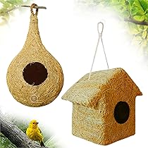 Creating Bird Habitat at Home: Transform Your Backyard
