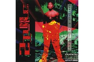 Strictly 4 My N.I.G.G.A.Z...