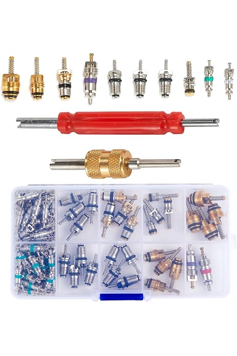 Noyaux Valve Climatisation MuChangZi - Lot De 10 Pièces - Pour Volvo, Ford, Citroën, Peugeot - R134a