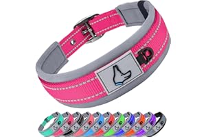 Joytale Collar Perro Pequeño, Resistente y Reflectante, Ajustable de Acolchado Neopreno Nylon, Fucsia, S