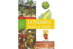 la palmera Paso A Paso (Tu Jardín)