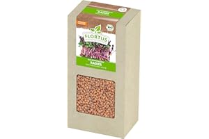 FLORTUS FREUDE AN VIELFALT FLORTUS BIO Keimsprossen Radies (200 g) | Gesunde & leckere Keimsprossen | Sprossensaat | Keimsprossen | Keimsaaten