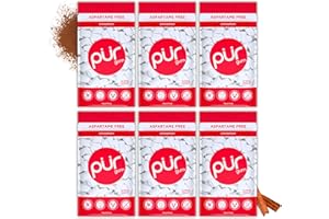 PUR Gum | Chewing-Gum Sans Sucre | 100% Xylitol | Végétalien, Sans Aspartame et Sans Gluten | Gum Naturel Au Goût De Cinnamon, 55 Pièces (Lot De 6)
