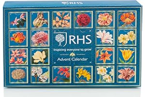 TARTAM 24 Different Flavours of Tea from around the world - Tea Advent calendar, 2023 Christmas Tea Bag Selection advent calendar - VEGAN advent calendar