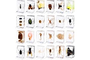 LZMDISU 24 Styles Insect in Resin Specimen, Bugs Collection Paperweights Animal Specimen for Kids Bug Preserved in Resin for Scientific Education Office Desk Christmas Display Supplies