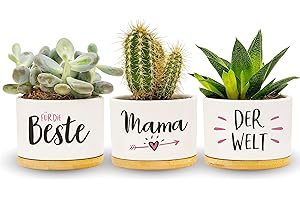 Darlena Beste Mama der Welt | Mama Geschenk, Geburtstagsgeschenk | Kräutergarten Geschenke für Mama zum Geburtstag, Muttertag oder Weihnachten | Blumentöpfe zum Bepflanzen