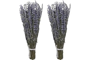 Aisamco 2 Stück getrocknete Lavendelbündel, natürliche getrocknete Lavendelblüten, 40 cm Länge, natürliche getrocknete Blumen für Zuhause, Hochzeit, Blumendekoration