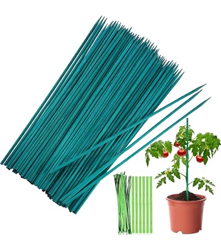 50 Tuteurs En Bambou Vert 30cm + 100 Liens Métalliques - Supports Pour Plantes, Tomates, Fleurs