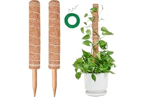 Totem di Cocco, SproutMaven Bastone per Piante da 2x40cm Allungabili, Altezza 68cm Bastoncino di Totem Palo Supporto Piante Rampicanti da Interni ed Esterni, Liane per Crescere Verso L'alto