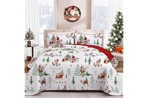 ‎WONGS BEDDING WONGS BEDDING Tagesdecke 220x240 Weihnachts Bettüberwurf Steppdecke Doppelbett Gesteppt Mikrofaser 3 Teilig Tagesdecken Bettdecke Stepp Decke mit 2 Kissenbezüge 50x75, Weiß