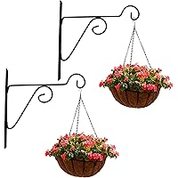 Leafy Tales Plant Hanger Brackets Wall Mounted - Metal Hanging Hooks, Holder for Indoor Outdoor Planters - Black - Set…