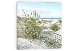 DEQORI Küchenrückwand Glas | Motiv Dünen an Nordseeküste | 60x60 cm | Bad- oder Herd-Rückwand | Herdblende Spritzschutz für Küche & Badezimmer | Moderne Deko für Fliesenspiegel