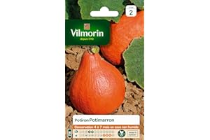 Vilmorin 3486845 Pack de Graines Potiron Potimarron
