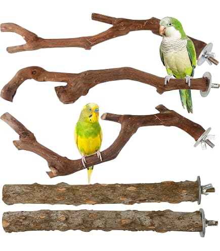 Kaytee EZ Care Pet Bird T Stand 25